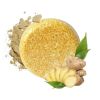 Ginger Shampoo Bar PURCShampoobarGinger 043513e4