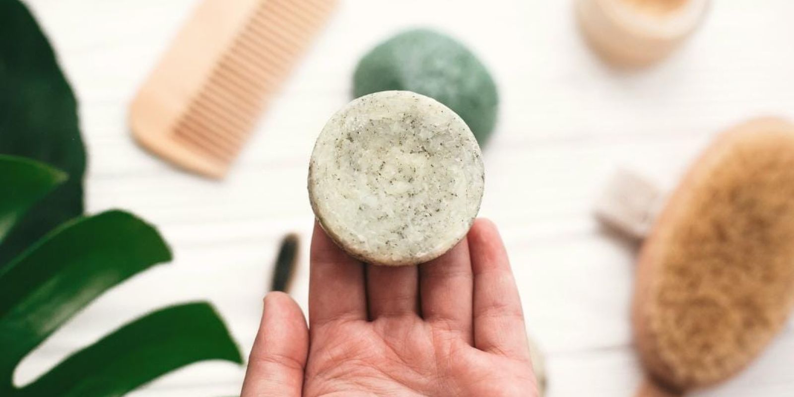 Shampoo Bars and Hygiene - All You Need To Know WhatsApp Image 2023 03 23 at 10.24.18 0d42bc6b