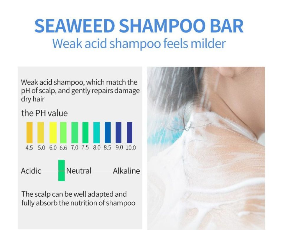 Bio Seaweed Shampoo Bar PURC New arrival Seaweed Shampoo Bar 100 PURE and Seaweed handmade cold processed no chemicals or 2 1831e1e8