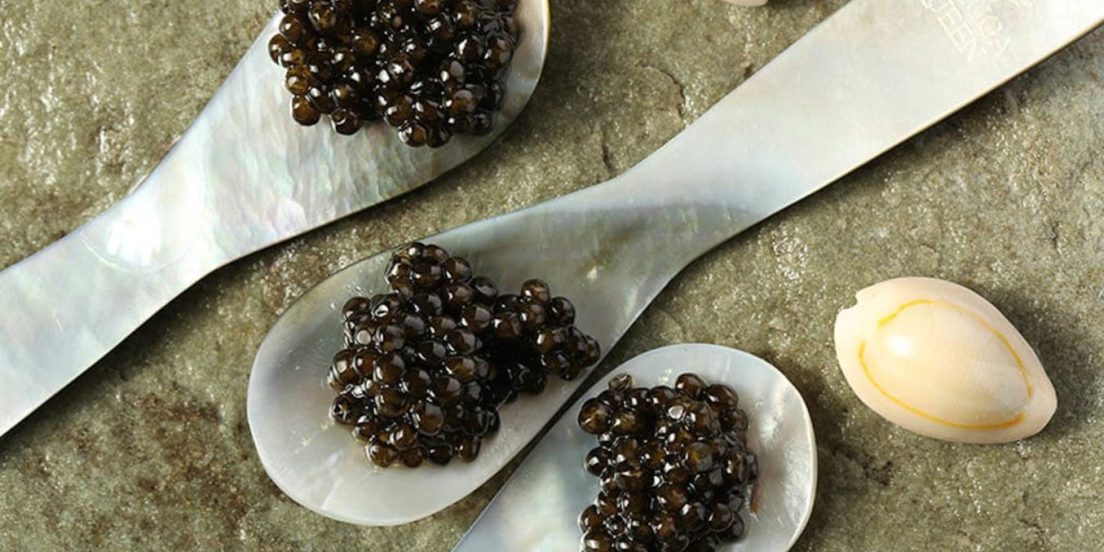 Here Is What Caviar Can Do For Your Hair purcorganics caviar hair treatment 212660e7
