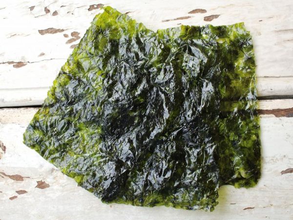 10 Everyday Products You Did Not Know Contain Animal Ingredients purcorganics seaweed 2d573d73
