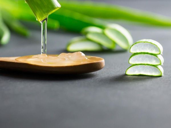 10 Potent DIY Aloe Vera Beauty Hacks for Radiant Skin and Lustrous Hair WhatsApp Image 2023 06 27 at 00.09.47 35ce28c9