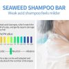 Bio Seaweed Shampoo Bar PURC New arrival Seaweed Shampoo Bar 100 PURE and Seaweed handmade cold processed no chemicals or 2 39d7cc8b