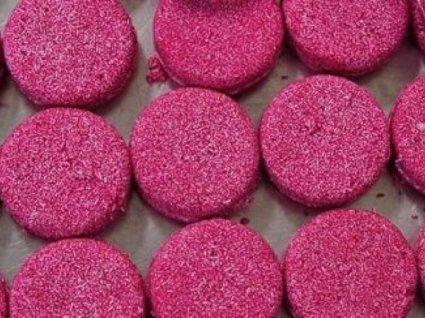 Coconut Conditioner Bar 3 1 413a0174