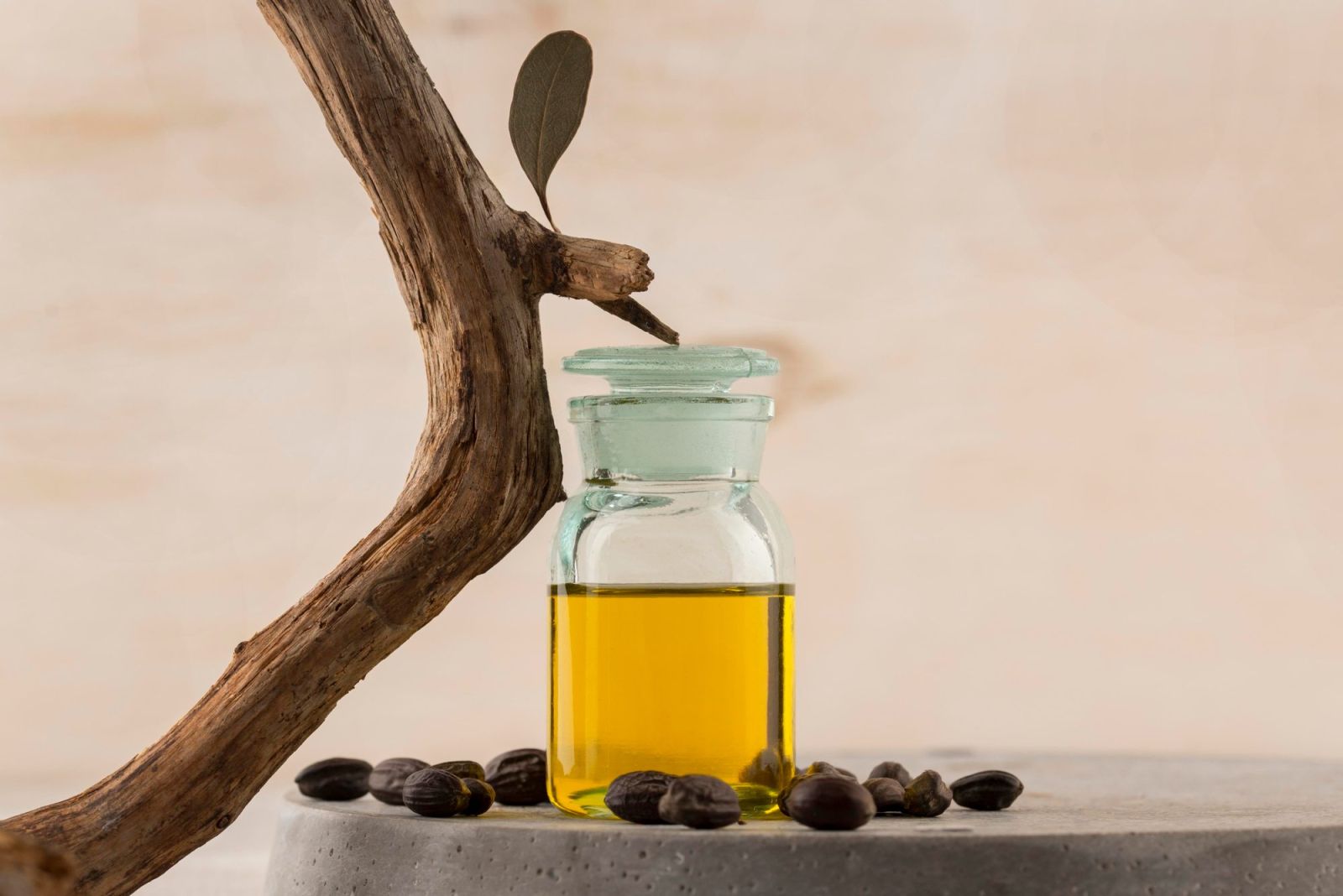 All About Moroccan Argan Oil As A Hair Care Ingredient arrangement jojoba oil bottle 454247c9