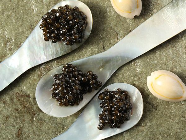 Relationship Between Ginseng & Your Scalp purcorganics caviar hair treatment 589ed926