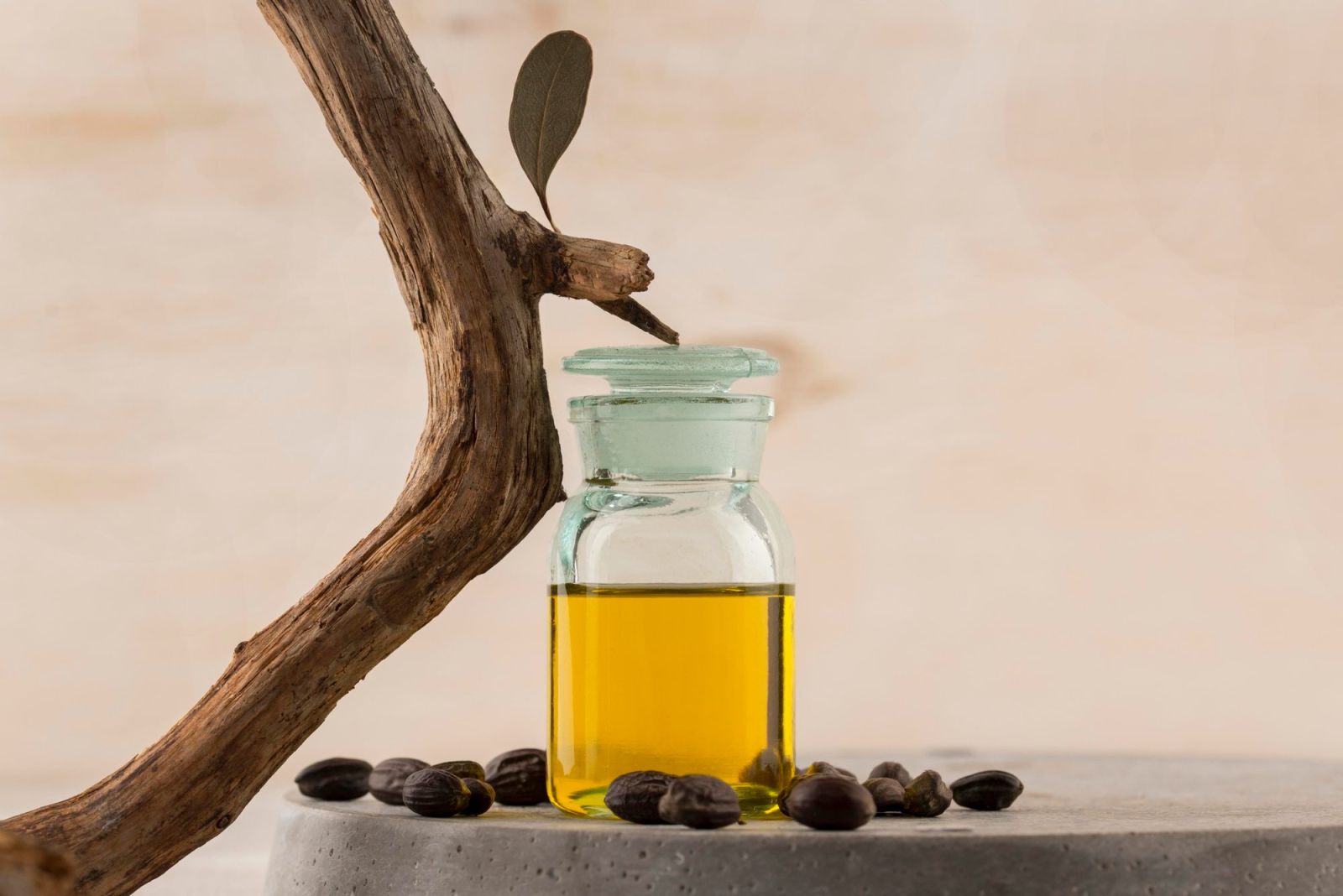All About Moroccan Argan Oil As A Hair Care Ingredient arrangement jojoba oil bottle 613d4065
