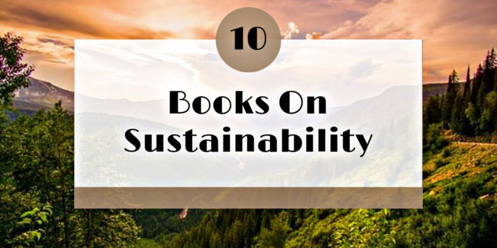 10 Must-Read Books On Sustainability Before 2021 Ends image11 2 1024x677 1 6b7ed9ae