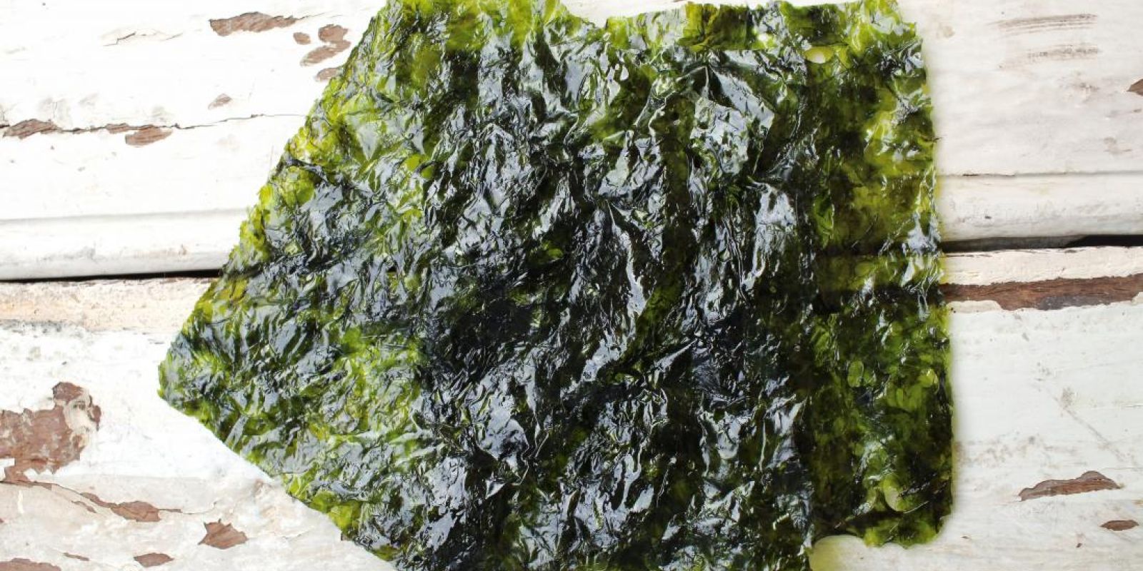 Bio Seaweed/Marine Algae Benefits On Hair & Health purcorganics seaweed 6d52c290