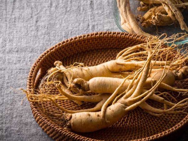 Relationship Between Ginseng & Your Scalp purcorganics ginseng 7050e891