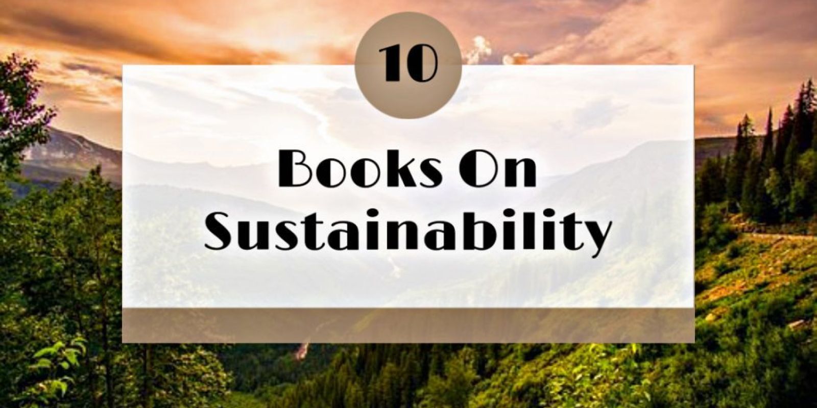 10 Must-Read Books On Sustainability Before 2021 Ends image11 2 1024x677 1 8b360f95