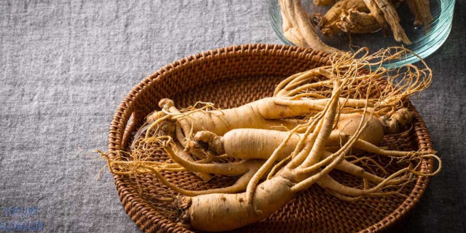 Relationship Between Ginseng & Your Scalp purcorganics ginseng 8ccf5813