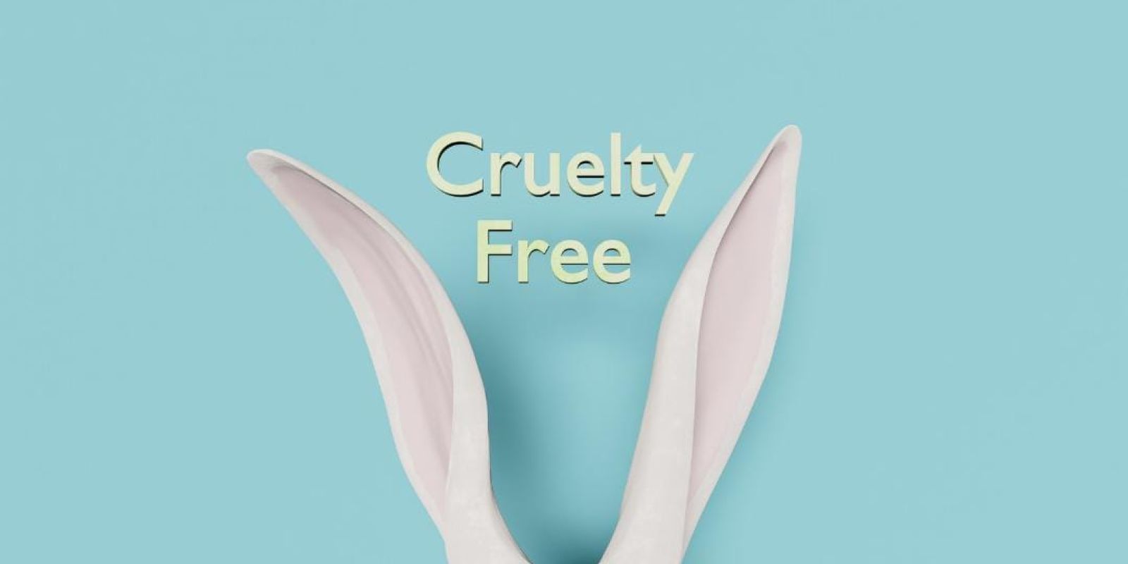 Easter Edition: Rabbits Are Frequent Victims Of Animal Cruelty! What can be done to stop this? WhatsApp Image 2023 03 30 at 11.27.03 92792c27