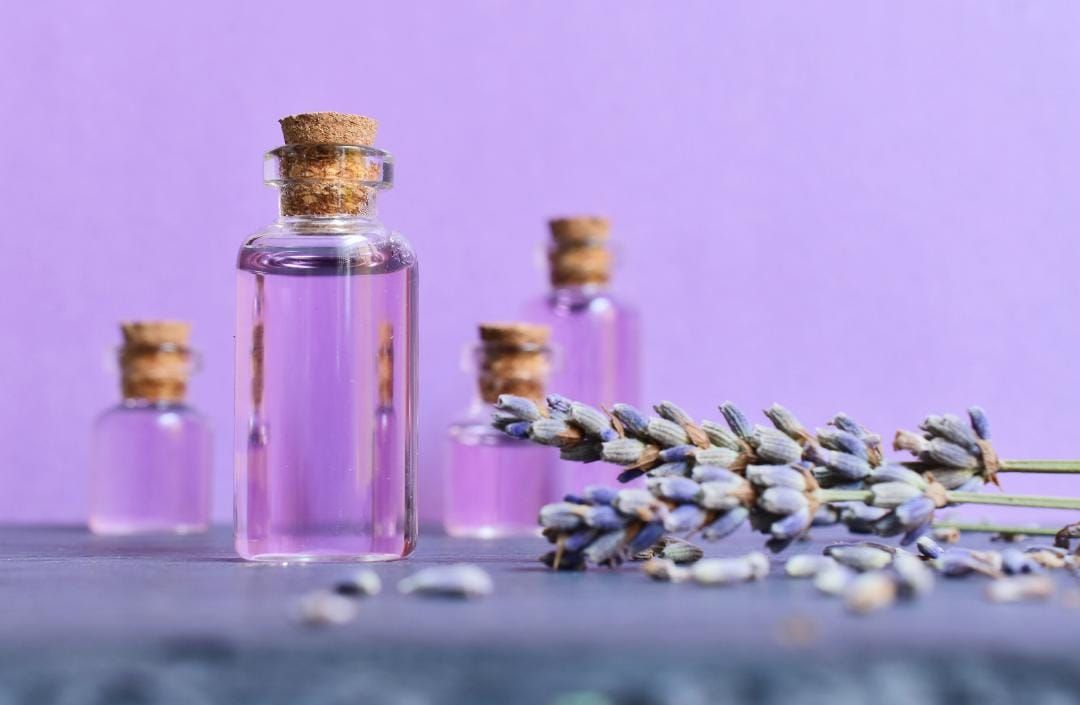 lavender essential oil