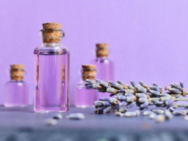 lavender essential oil