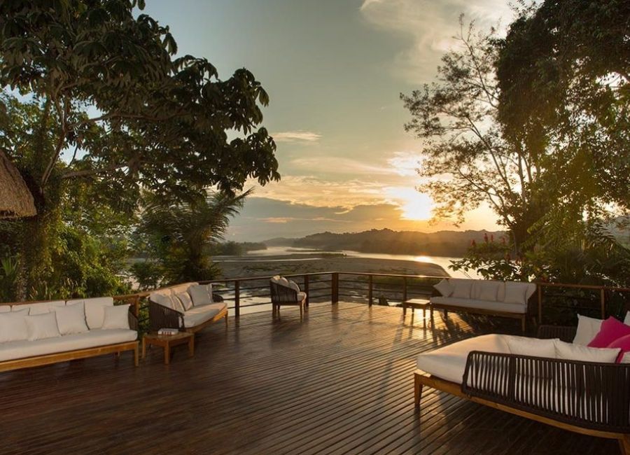 Cinnamon For Amazing Hair Growth: Busting The Myths PURCorganics sustainable journey bb628f11