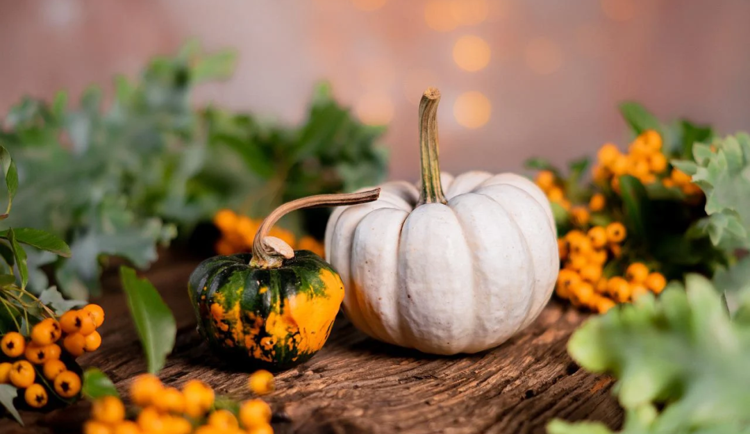 10 Tips On Celebrating An Eco-friendly Halloween PURC Organics 10 Tips On Celebrating An Eco friendly Halloween 5 bf1286f2