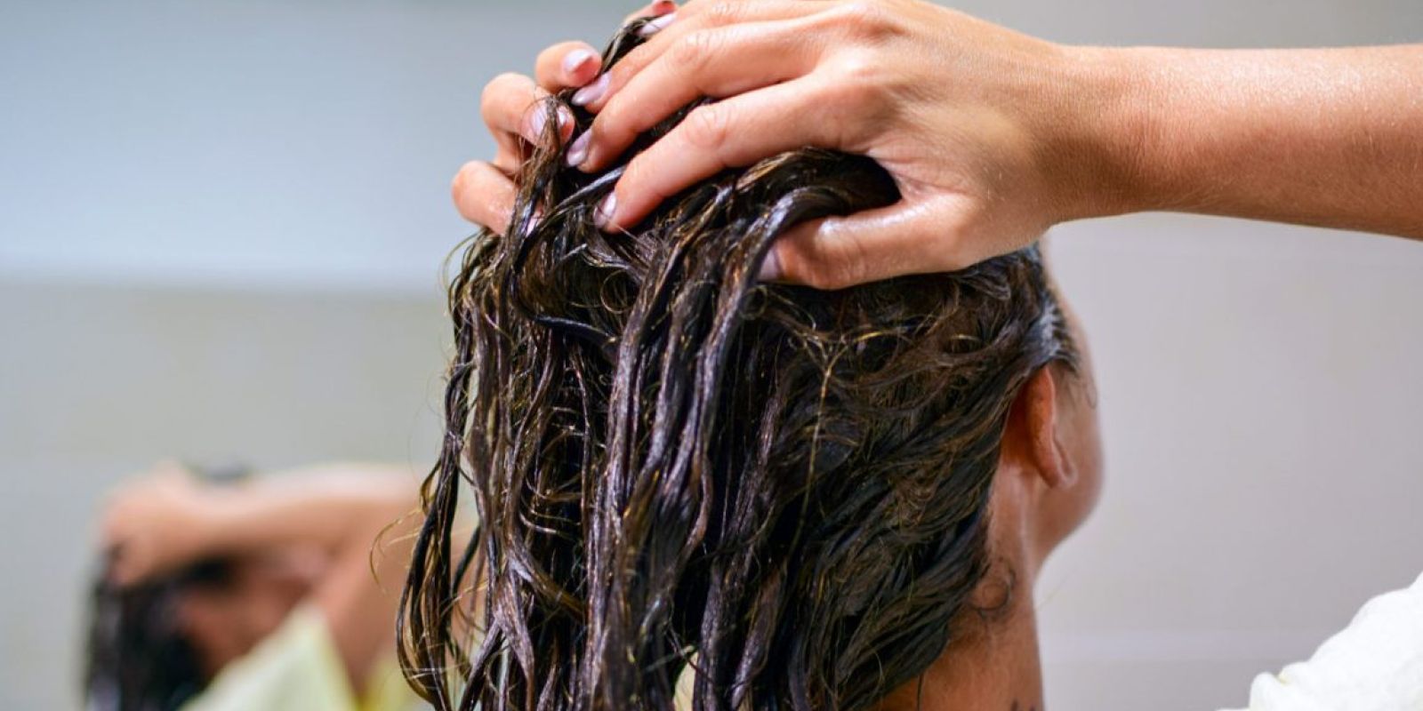 The 6 Myths About Shampoo Bar purc hair treatments cc6a6d49