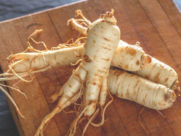 Panax Ginseng: The Star Ingredient of PURC Hair Growth Products purcorganics ginseng e04a30b2