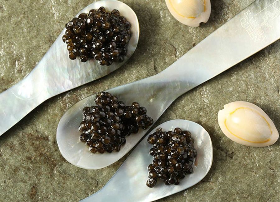7 Must-Read Books On Sustainability purcorganics caviar hair treatment e9030261