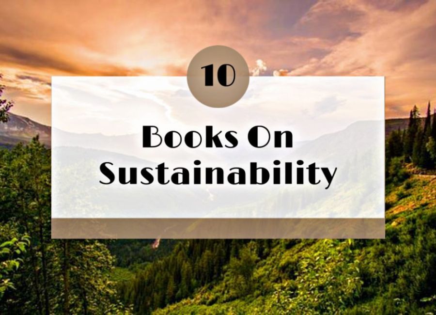 Hair Spa: How Often & How To Do It Yourself At Home image11 2 1024x677 1 fd96267e