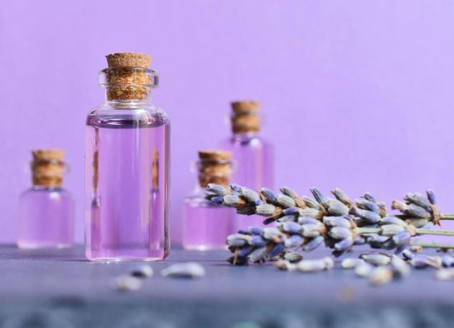 lavender essential oil