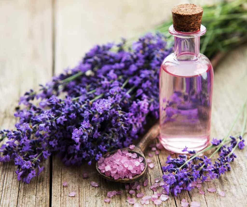 Top 7 Essential Natural Ingredients For Healthy Hair Lavender