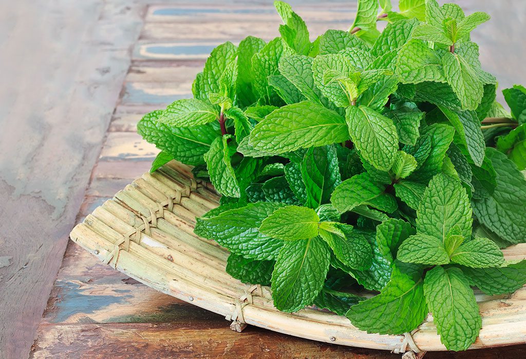 Top 7 Essential Natural Ingredients For Healthy Hair MInt