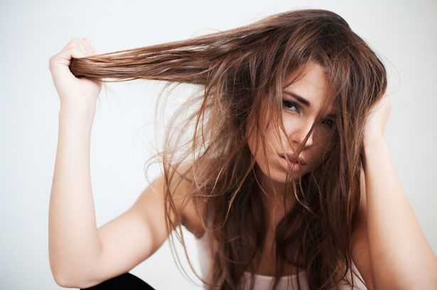 How To Choose Natural Products For Oily Hair purcorganics oily