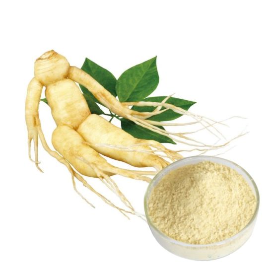 panax ginseng