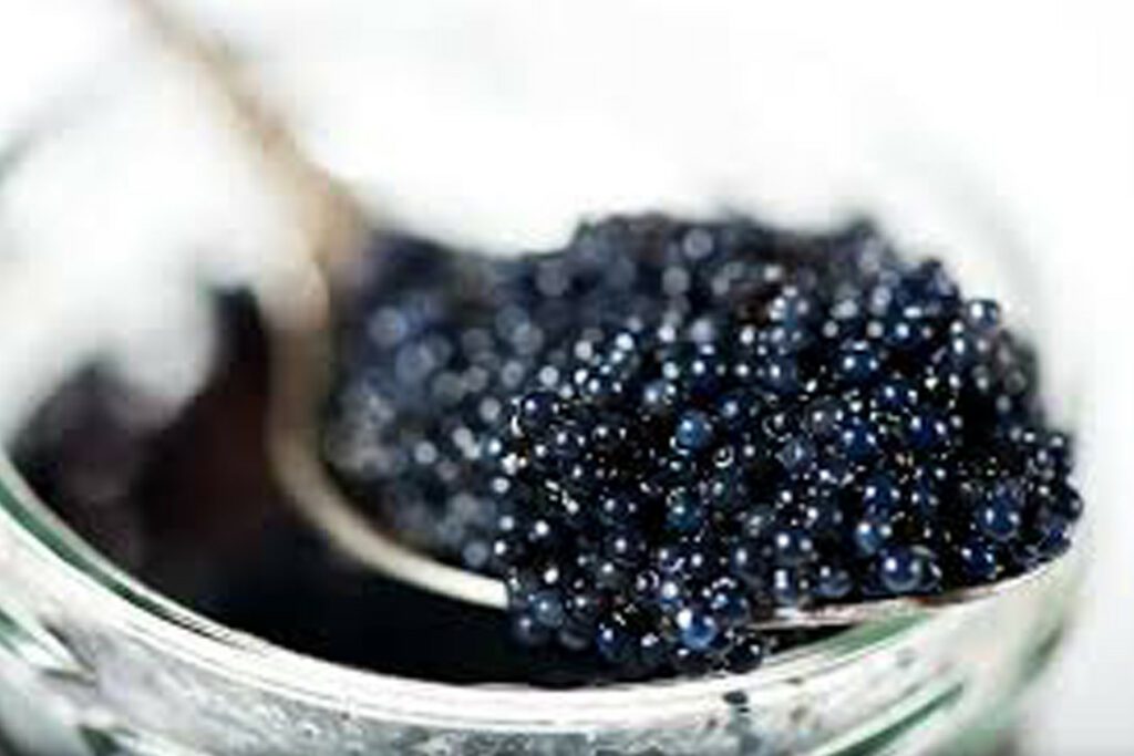 Caviar Extract Hair Treatment Kit purcorganics Caviar Extract Treatment 8