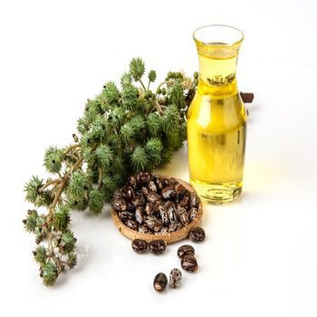 castor oil