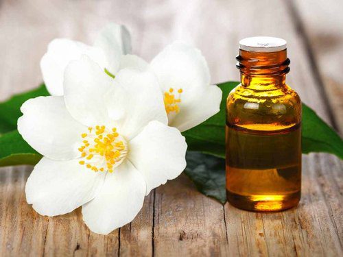 jasmine essential oil