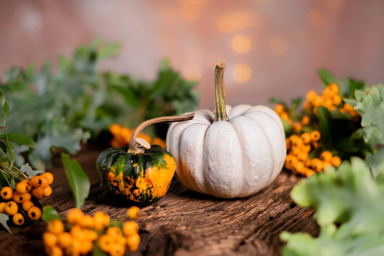 10 Tips On Celebrating An Eco-friendly Halloween PURC Organics 10 Tips On Celebrating An Eco friendly Halloween 5