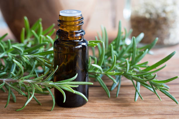 <strong>Rosemary Or Minoxidil For Hair Growth - Which One To Choose?</strong> rosemary