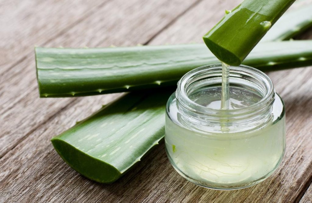 10 Potent DIY Aloe Vera Beauty Hacks for Radiant Skin and Lustrous Hair WhatsApp Image 2023 06 26 at 23.56.39