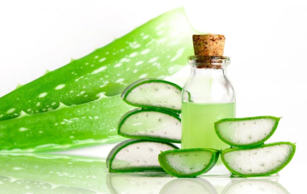 10 Potent DIY Aloe Vera Beauty Hacks for Radiant Skin and Lustrous Hair WhatsApp Image 2023 06 27 at 00.03.55