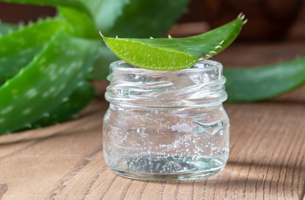 10 Potent DIY Aloe Vera Beauty Hacks for Radiant Skin and Lustrous Hair WhatsApp Image 2023 06 27 at 00.05.57