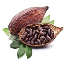 purcorganics - Cocoa seed butter