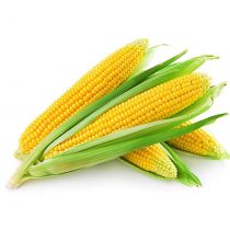 purcorganics – Zea mays purcorganics - Zea mays